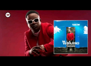 T Sean - Wakaso Asaione MP3 DOWNLOAD