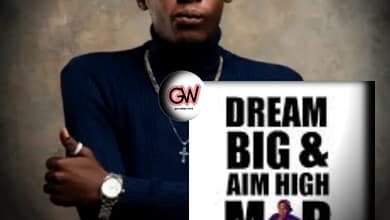 Dream Big & Aim High