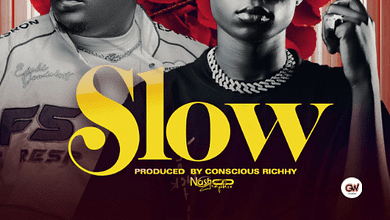 "Flower Boy Ft. Stevo - Slow"