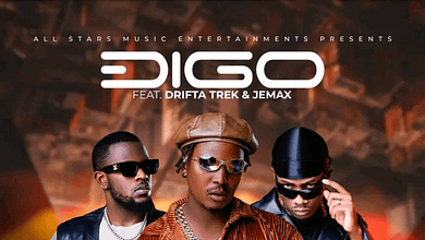 "Timuziba mp3 - Digo"