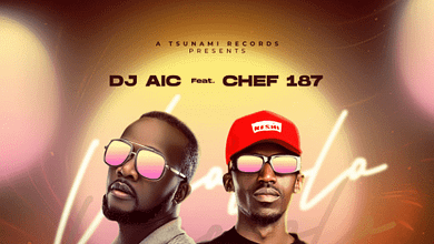 "Vigololo mp3 - Dj AIC"