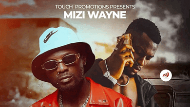 "Mangwinini mp3 - Mizi Wayne"