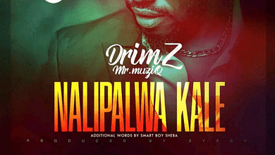 "Nalipalwa Kale - Drimz"