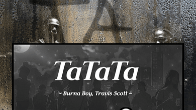 Burna Boy Ft. Travis Scott - TaTaTa Mp3 Download
