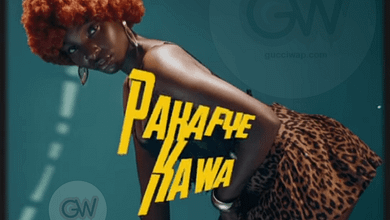 Chuzhe Int Ft. Mr Schaba - Pakafye Kawa (prod.by Eazy The Producer)