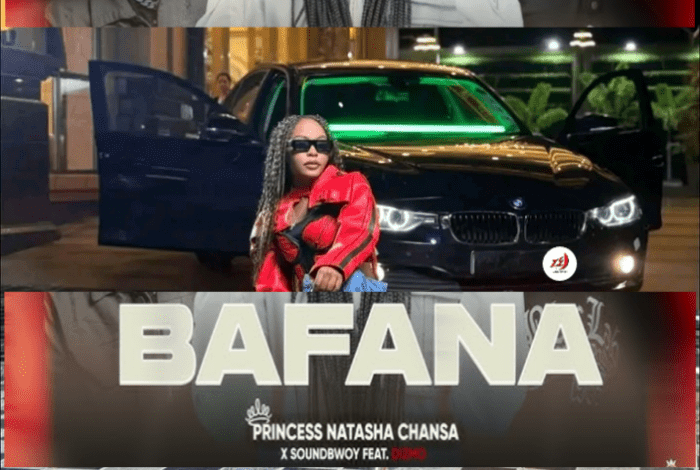 "Bafana - Natasha Chansa & Dizmo & SoundDbwoy"