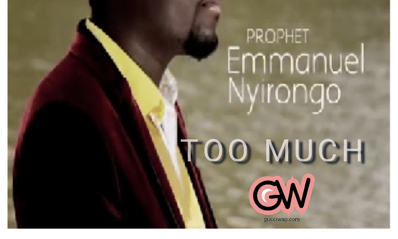 "Emmanuel Nyirongo - Too Much Music Artwork"