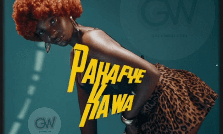 Chuzhe Int Ft. Mr Schaba - Pakafye Kawa (prod.by Eazy The Producer)
